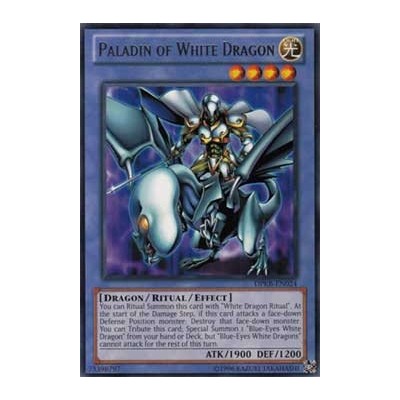 Paladin of White Dragon - DPKB-EN024