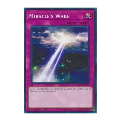 Miracle's Wake - SDCL-EN033