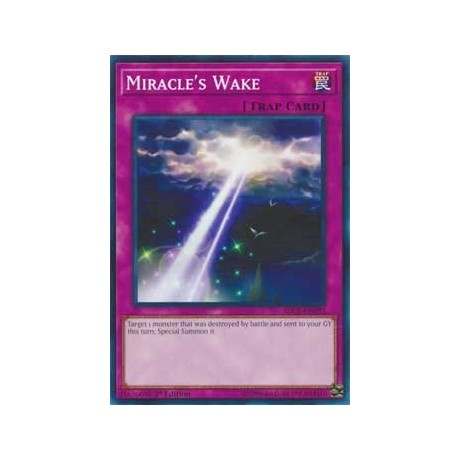 Miracle's Wake - SDCL-EN033