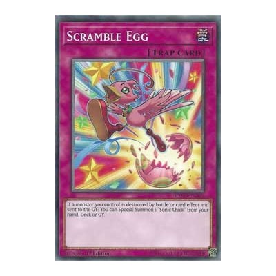 Scramble Egg - EXFO-EN099