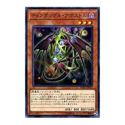 Tindangle Protector - EXFO-JP012