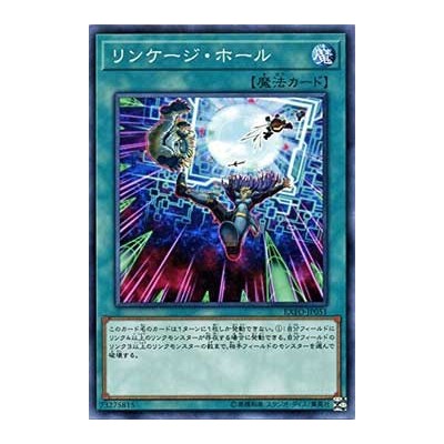 Link Hole - EXFO-JP051