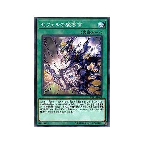 Spellbook of the Master - LVP1-JP039