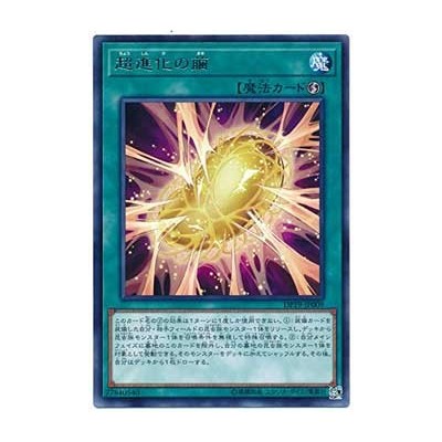 Cocoon of Ultra Evolution - DP19-JP009