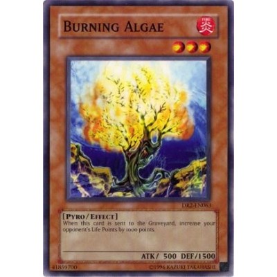 Burning Algae - DR2-EN063