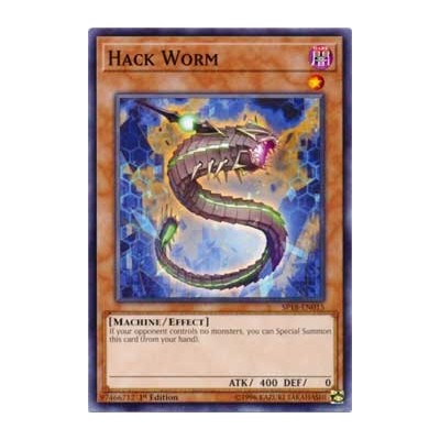 Hack Worm - SP18-EN015