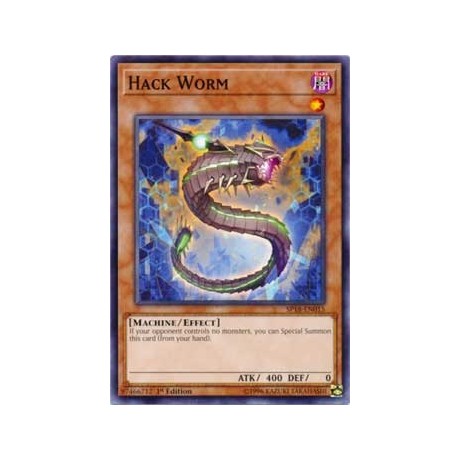 Hack Worm - SP18-EN015