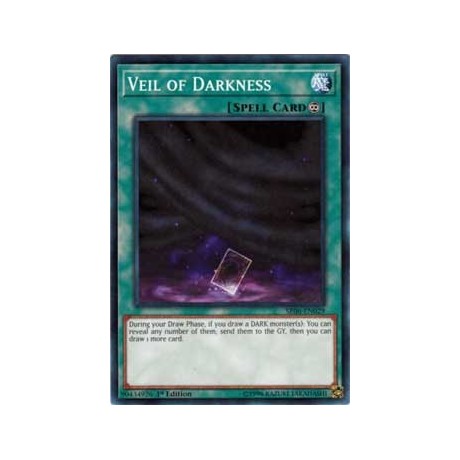 Veil of Darkness - SR06-EN029