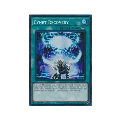 Cynet Recovery - YS18-EN021