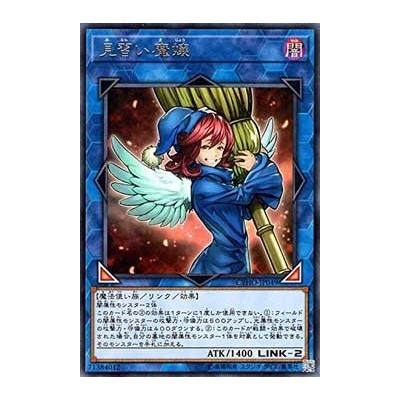 Wee Witch's Apprentice - CYHO-JP049