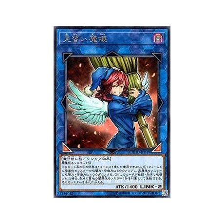 Wee Witch's Apprentice - CYHO-JP049