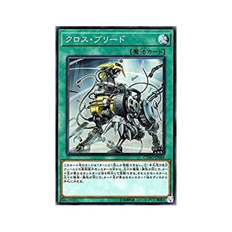 Cross Breed - CYHO-JP066