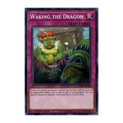 Waking the Dragon - FLOD-EN080