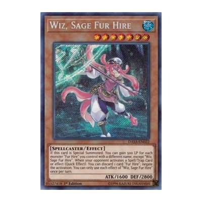 Wiz, Sage Fur Hire - DASA-EN022