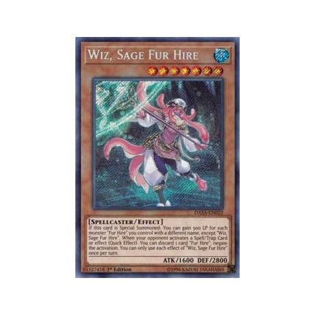 Wiz, Sage Fur Hire - DASA-EN022