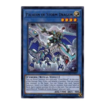 Paladin of Storm Dragon - CYHO-EN031