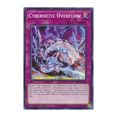 Cybernetic Overflow - CYHO-EN073