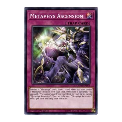 Metaphys Ascension - CYHO-EN076