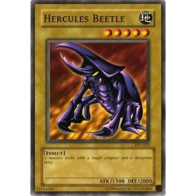 Hercules Beetle - TP1-025