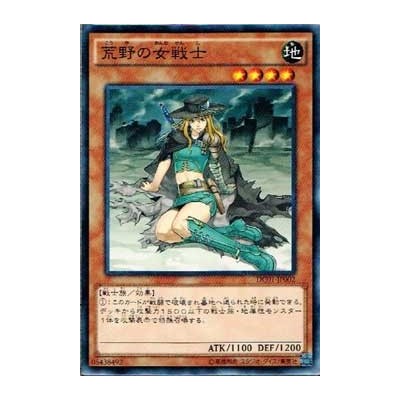 Warrior Lady of the Wasteland - DC01-JP002