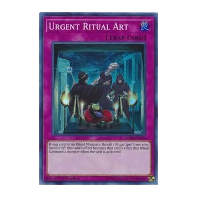 Urgent Ritual Art - SHVA-EN060