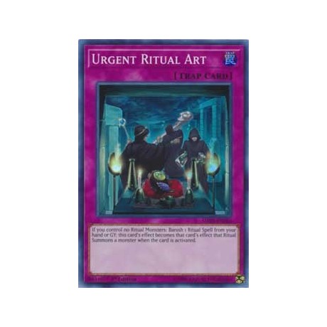 Urgent Ritual Art - SHVA-EN060