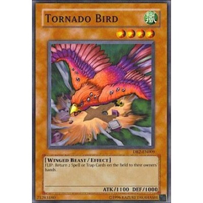 Tornado Bird - TP5-EN012