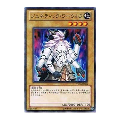 Gene-Warped Warwolf - YSD6-JP004