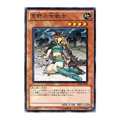 Warrior Lady of the Wasteland - YSD6-JP020