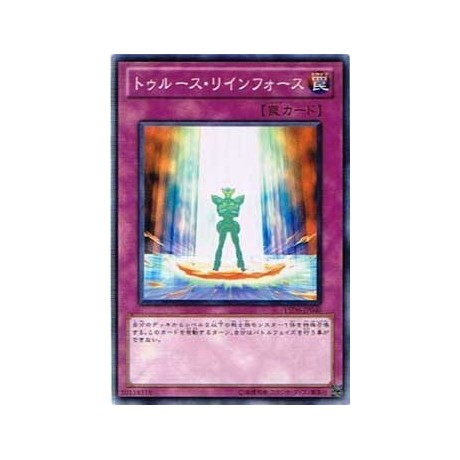 Reinforce Truth - YSD6-JP040