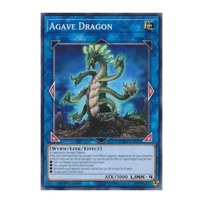 Agave Dragon - SOFU-EN048