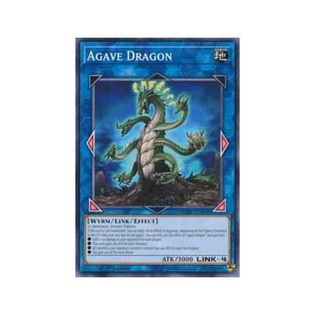 Agave Dragon - SOFU-EN048