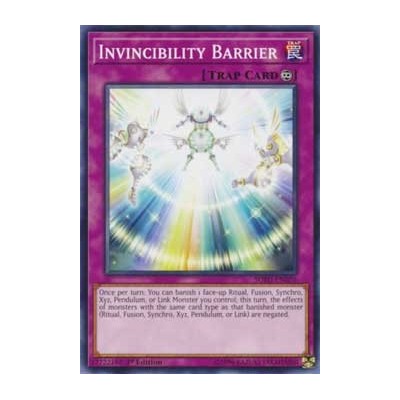 Invincibility Barrier - SOFU-EN076