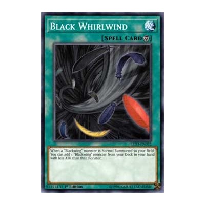 Black Whirlwind - LED3-EN032