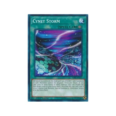 Cynet Storm - SDPL-EN021