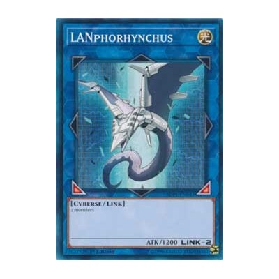 LANphorhynchus - SDPL-EN042