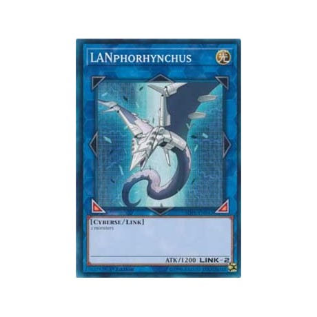 LANphorhynchus - SDPL-EN042