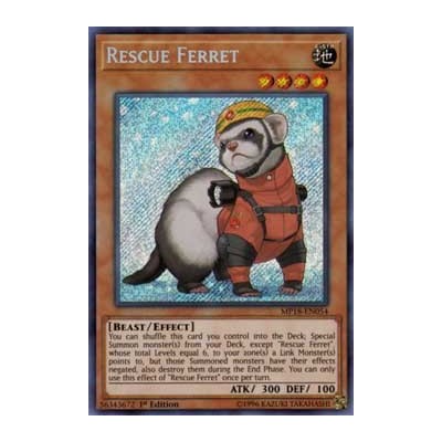 Rescue Ferret - LEHD-ENC08