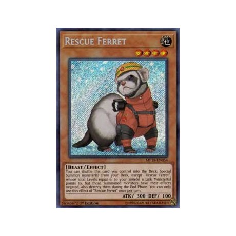 Rescue Ferret - LEHD-ENC08