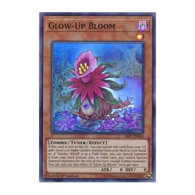 Glow-Up Bloom - SR07-EN003