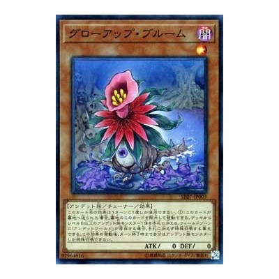 Glow-Up Bloom - SR07-EN003