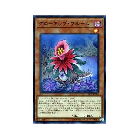 Glow-Up Bloom - SR07-EN003