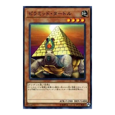 Pyramid Turtle - SR07-EN015