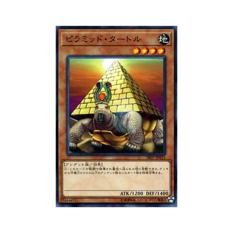 Pyramid Turtle - SR07-EN015