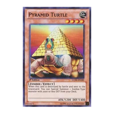 Pyramid Turtle - SD2-EN005