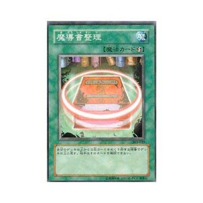 Spellbook Organization - 303-039