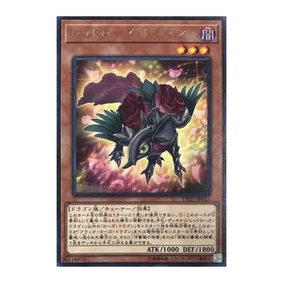 Red Rose Dragon - DP21-JP025