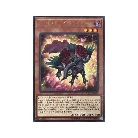 Red Rose Dragon - DP21-JP025