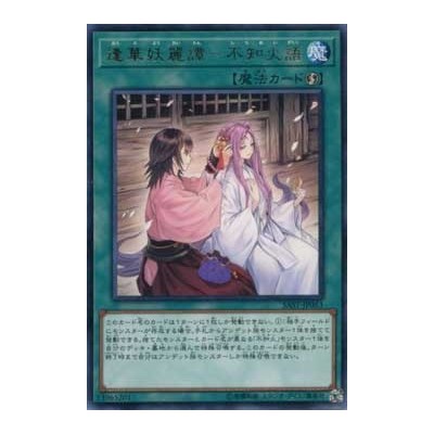 Ghost Meets Girl - A Shiranui's Story - SAST-JP063