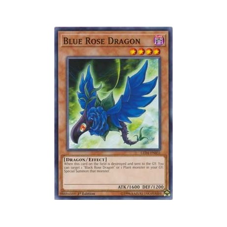 Blue Rose Dragon - LED4-EN031